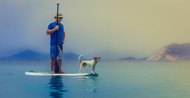 pexels standup paddleboarding 1838969 640